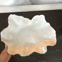 Load image into Gallery viewer, Blue and White Porcelain Dish 18” x 12”
